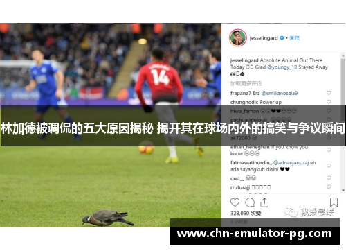 林加德被调侃的五大原因揭秘 揭开其在球场内外的搞笑与争议瞬间