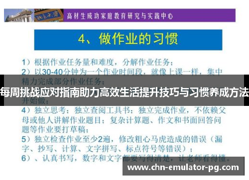 每周挑战应对指南助力高效生活提升技巧与习惯养成方法 每周挑战应对指南助力高效生活提升技巧与习惯养成方法